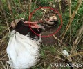 Πετούν τα πτώματα των ζώων στο ρέμα του Μπογδάνα στον Λαγκαδά Θεσσαλονίκης
