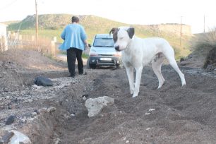 Σαντορίνη: Ο πρόεδρος του Δ.Δ. Καρτεράδου μπαζώνει τον δρόμο και αποκλείει την πρόσβαση στο καταφύγιο