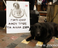 Διαμαρτυρία σε σούπερ μάρκετ της Αττικής από φιλόζωους ακτιβιστές (βίντεο)