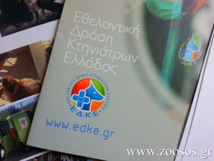 Ζητούν εθελοντές για να βοηθήσουν στις προγραμματισμένες στειρώσεις στη Φωκίδα