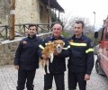 Βέροια: Οι πυροσβέστες έσωσαν το σκυλί που έπεσε στο ποτάμι