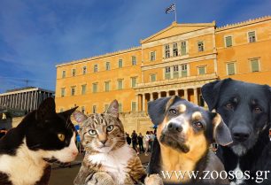Ερώτηση στη Βουλή από τον Ά. Γεωργιάδη για αλλαγές που ο Γ. Τσιρώνης θέλει να κάνει στον νόμο περί προστασίας ζώων