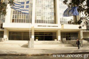 Εγκύκλιος ώστε να εφαρμόζουν οι εισαγγελείς τη νομοθεσία για την προστασία των ζώων εξέδωσε η Εισαγγελία του Άρειου Πάγου