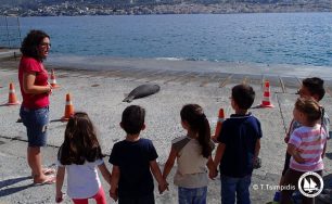 Σάμος: Οι μικροί μαθητές με σεβασμό παρατήρησαν την φώκια