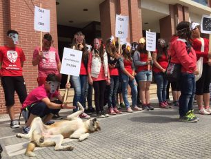 Μαθητές διαμαρτυρήθηκαν για τις φόλες έξω από το Δημαρχείο Αλεξανδρούπολης