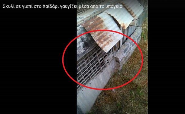 Χαϊδάρι: Συνελήφθη επειδή είχε κλείσει τον σκύλο σ’ ένα υπόγειο που μοιάζει με τάφο (βίντεο)