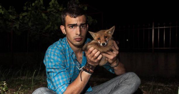 Δεν αδιαφόρησε για το αλεπουδάκι που χτύπησε με το όχημα του στο Αγρίνιο
