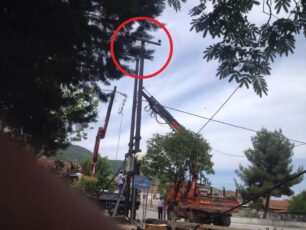 Κατέθεσαν καταγγελία στην Αστυνομία για την θανάτωση του πελαργού & καταστροφή της φωλιάς του από την Δ.Ε.Η. στην Ανάβρα Καρδίτσας