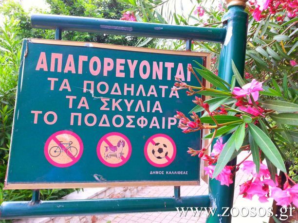 Πινακίδες που απαγορεύουν παρανόμως την διέλευση ζώων και στον Δήμο Καλλιθέας