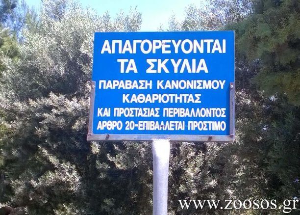 Και ο Δήμος Π. Φαλήρου απαγορεύει παρανόμως την διέλευση σκυλιών από πλατείες και πάρκα