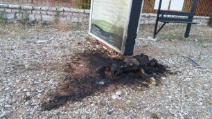 Αγρίνιο: Έκαψαν σκυλί στην στάση του Κ.Τ.Ε.Λ.;