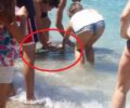 Οι τουρίστες «πνίγουν» με τα χάδια τους την Αργυρώ. Αν η φώκια τους επιτεθεί ποιος θα φταίει;