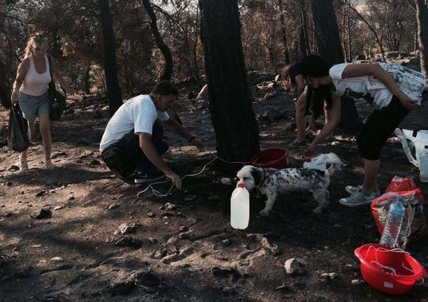Έβαλαν νερό για τα ζώα τους δάσους που επέζησαν από την πυρκαγιά στον Υμηττό