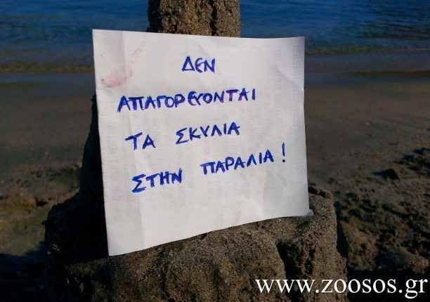 Στην παραλία «Πανόραμα» της Ραφήνας επιτρέπεται να κάνετε μπάνιο με τον σκύλο σας!