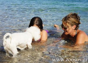 Π.Φ.Π.Ο.: Ψευδής η λίστα με τις παραλίες που επιτρέπεται το μπάνιο για σκύλους