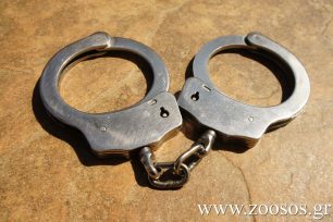 Συνέλαβαν τους άνδρες που κυνηγούσαν νύχτα στον Πεντόλακκο Ιωαννίνων