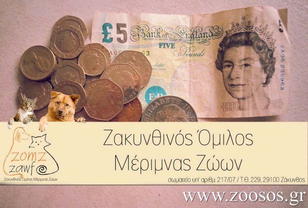 Βρετανίδα τουρίστρια προσέφερε 1.416 λίρες για τ’ αδέσποτα της Ζακύνθου