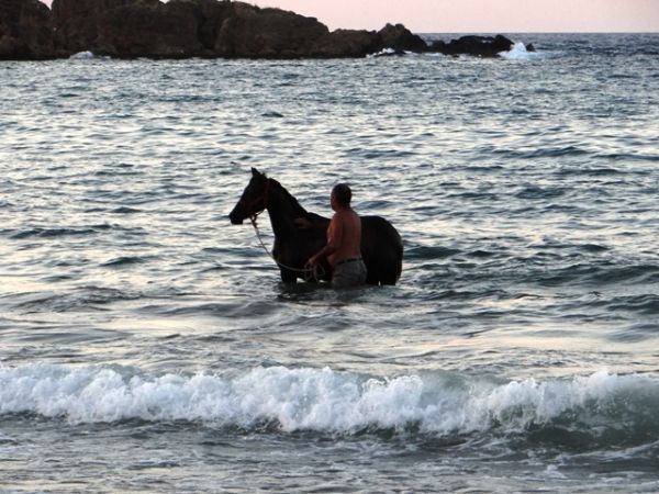 Έκανε μπάνιο παρέα με την φοράδα του στην Χρυσή Ακτή Χανίων