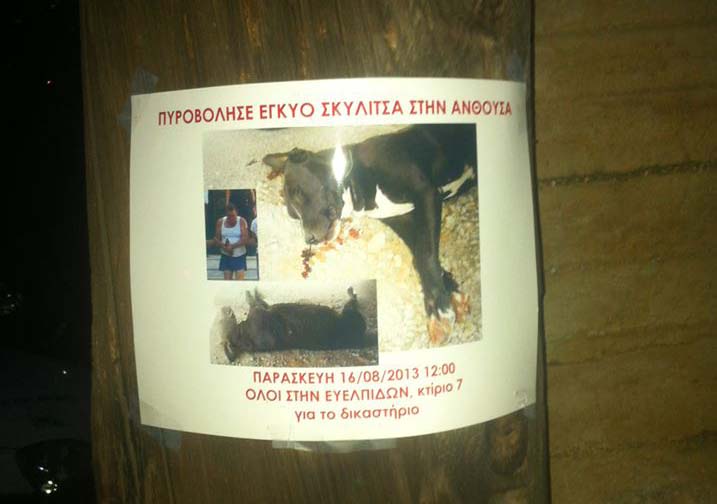 Γέμισαν την Ανθούσα με αφίσες με τον δράστη που σκότωσε την έγκυο σκυλίτσα 2 AnthousaDrastisAfisa2