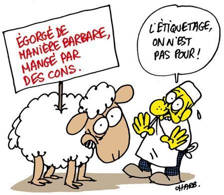 CharlieHedboSfagi