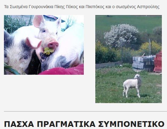 Κάνε τη διαφορά σώζοντας ένα ζώο το Πάσχα 1 FarmaSosmena