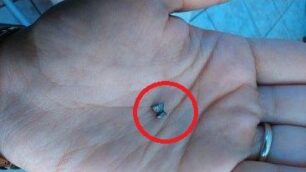 Αιγάλεω Αττικής: Απειλεί να σκοτώσει ζώα με φόλες και αεροβόλο