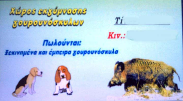 GiannenaXorosEkgymnasis