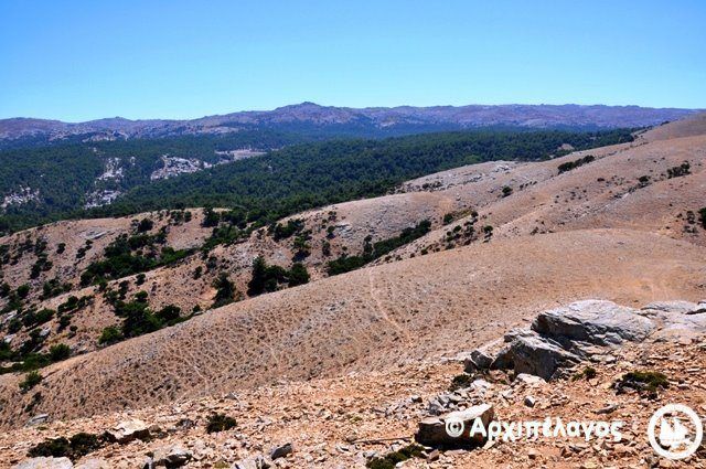 Το ΑΡΧΙΠΕΛΑΓΟΣ καταγγέλλει στον Ρακιντζή τη Διεύθυνση Δασών Σάμου 4 IkariaDasos6