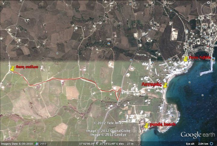 Βελτιώθηκε κάπως η κατάσταση του παριανού «βαρελόσκυλου» 6 ParosXartisTourlos