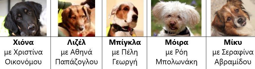 SaptSkyloiXios
