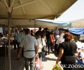 Ζητούνται εθελοντές για τον καθαρισμό χώρου προσωρινής φιλοξενίας ζώων στο Πέραμα