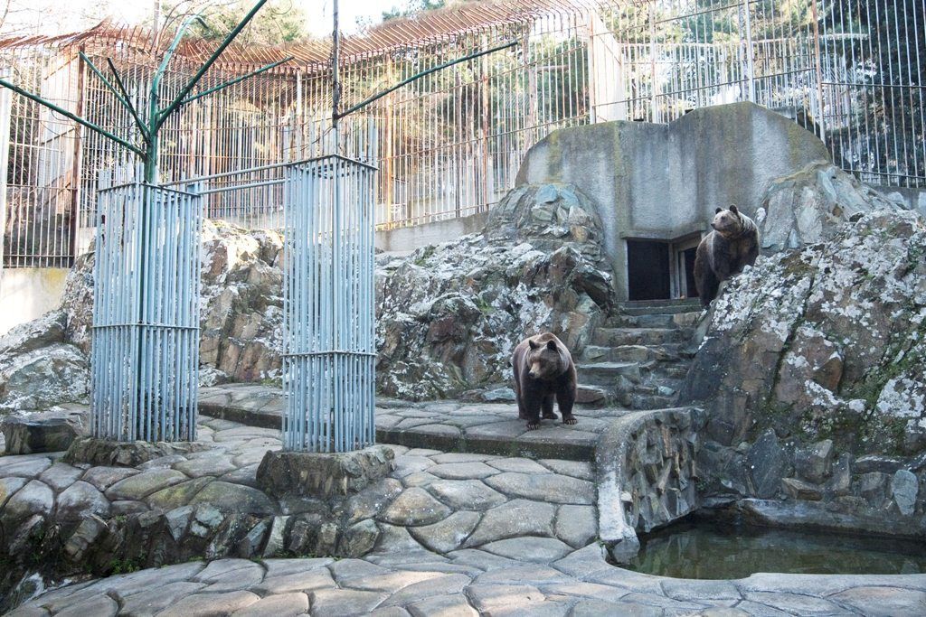 ZooThessalonikisMoutafis(3)