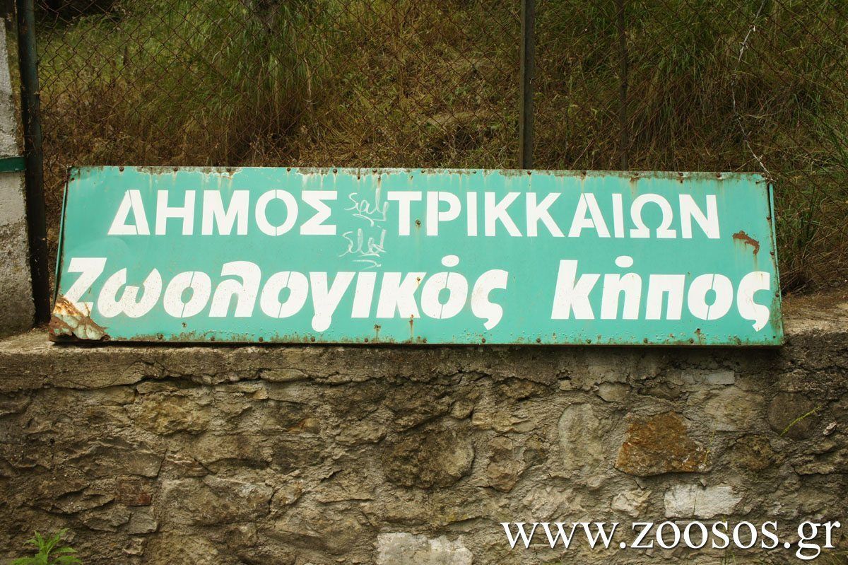 Ο Δήμος Τρικκαίων αποφάσισε να αιχμαλωτίσει και άλλα ζώα στον Δημοτικό Ζωολογικό Κήπο Τρικάλων